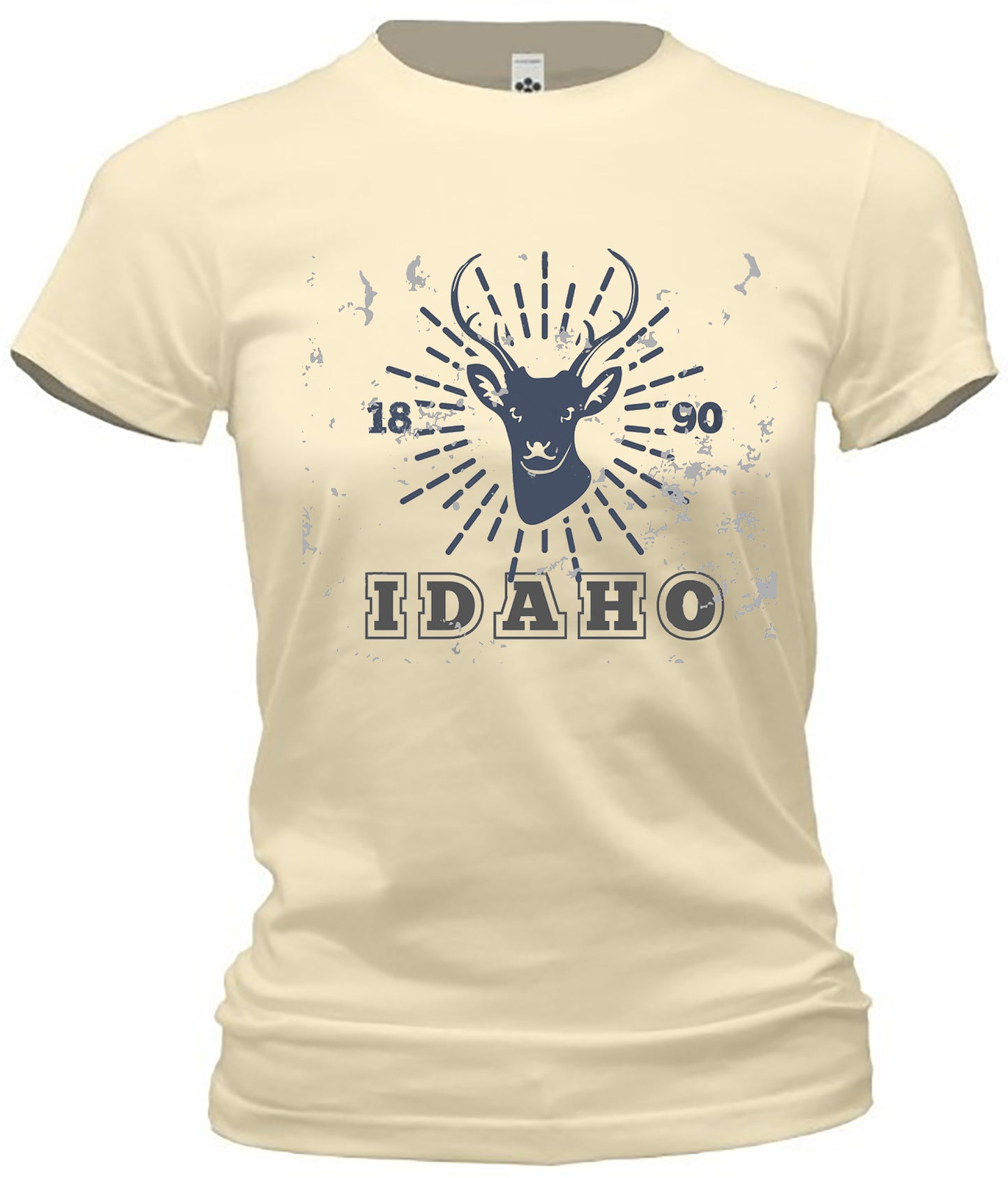 Idaho Hometown Graphic Tee