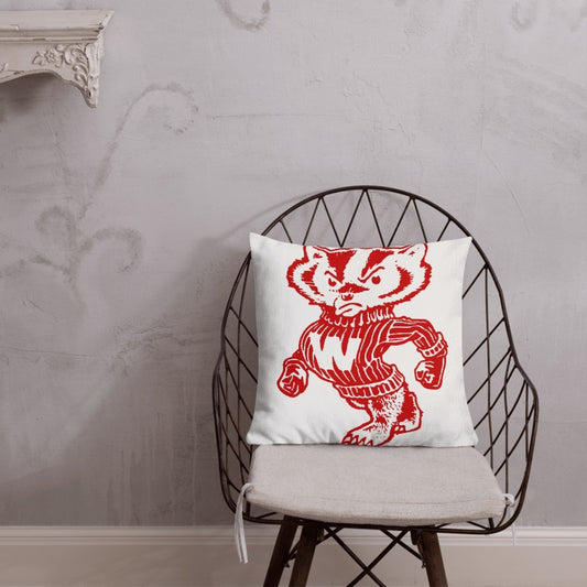 Wisconsin Badgers Retro Throw Pillow - noveltees.com